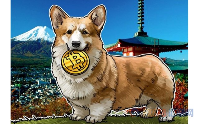 狗狗币钱包安装教程_狗币钱包app_tp钱包 狗狗币