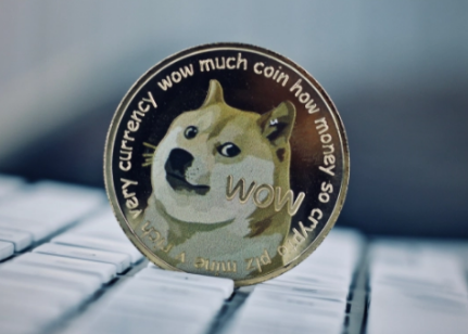 狗狗币钱包dogecoin_狗狗币怎么提到tp钱包_狗狗币钱包怎么提币