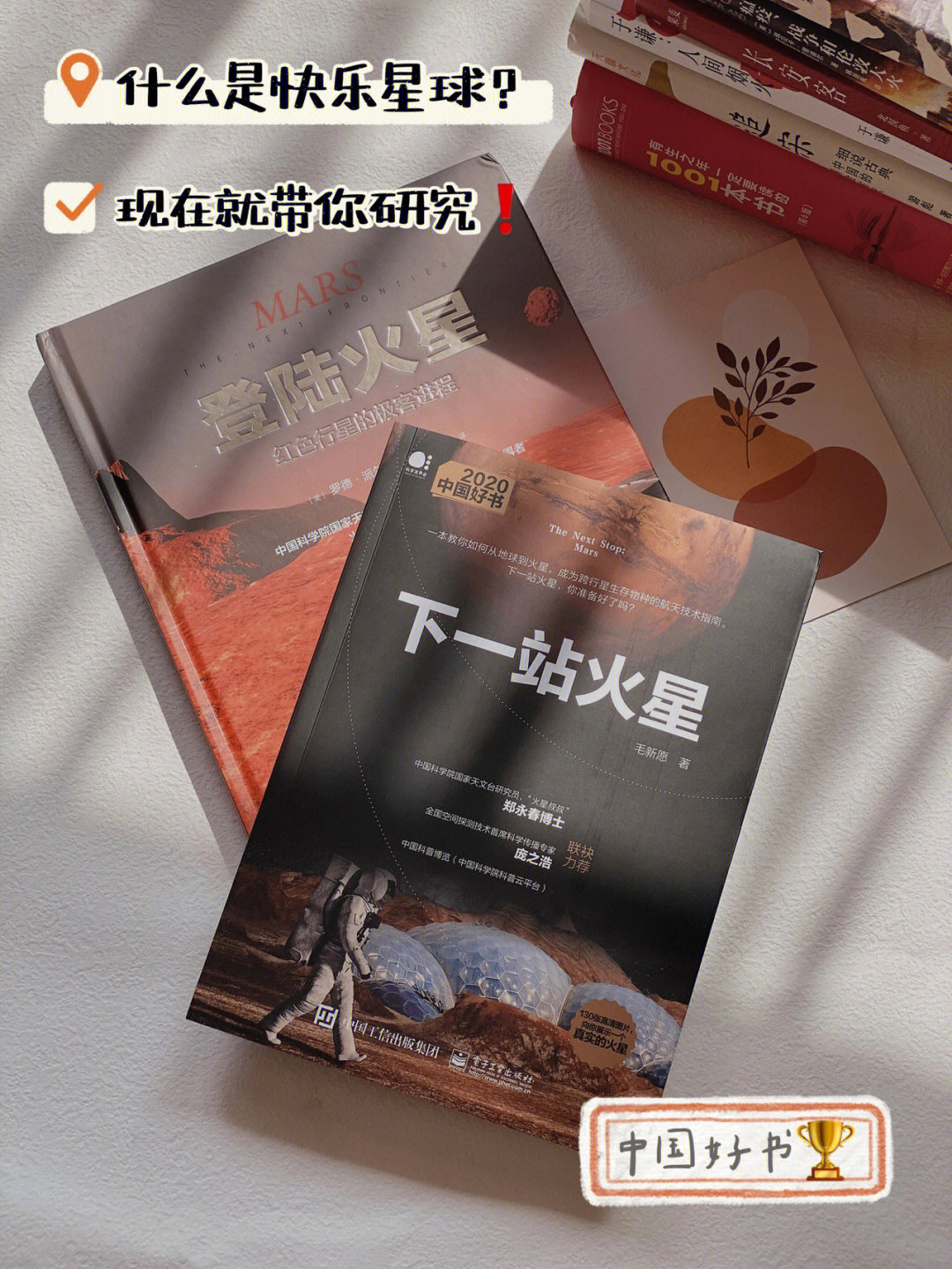 山寨币钱包开发教程_tp钱包是哪个国家公司开发的_快钱钱包是哪的公司
