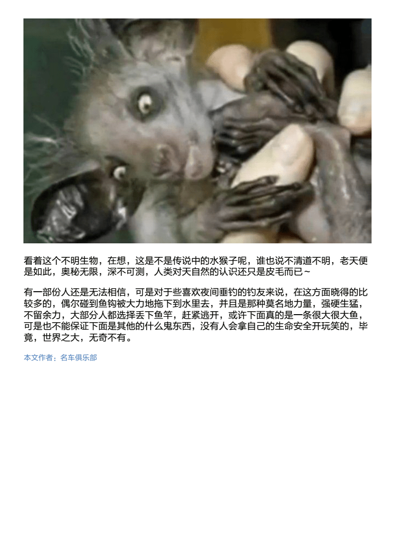 TP钱包客服失踪！如何找回？