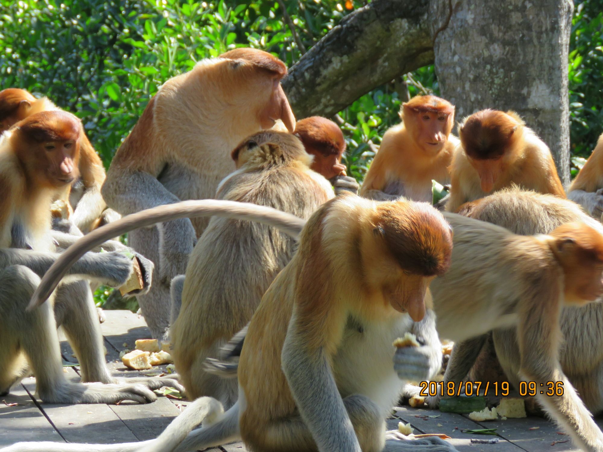 tp钱包客服怎么找_钱包的客服电话是多少_tp钱包的客服在哪里找