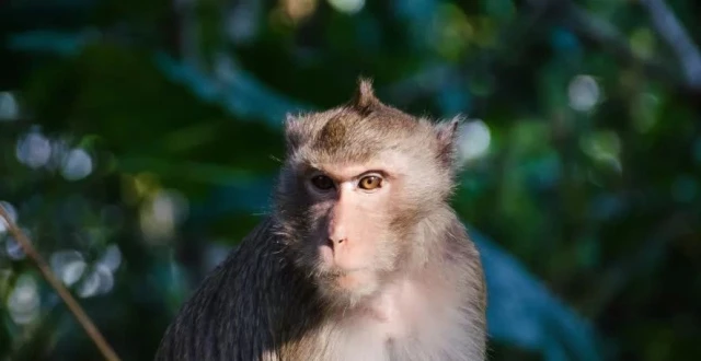 tp钱包客服怎么找_tp钱包的客服在哪里找_钱包的客服电话是多少