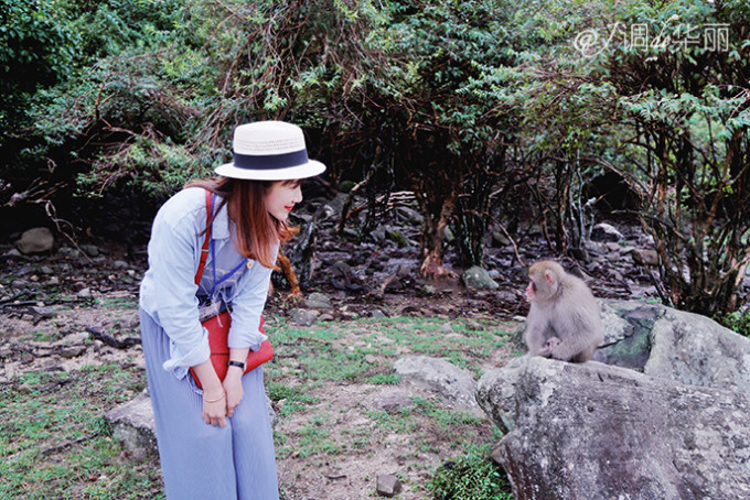 tp钱包的客服在哪里找_钱包的客服电话是多少_tp钱包客服怎么找