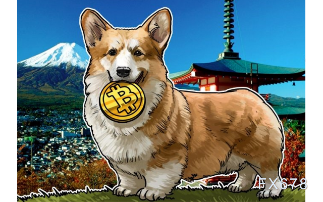 tp钱包使用教程怎么存狗狗币_狗狗币钱包dogecoin_钱包狗狗币