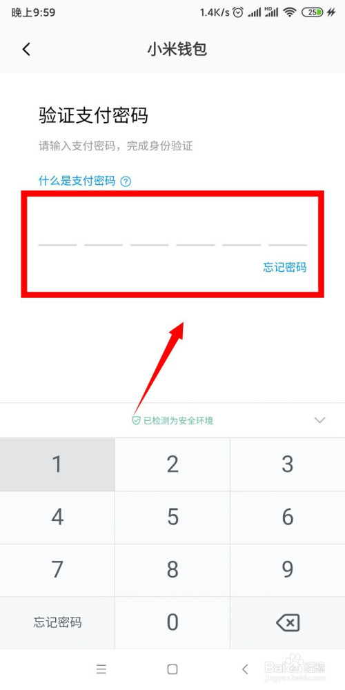 tp钱包交易密码忘了_钱包支付密码已锁定怎么重置_tp钱包忘记支付密码