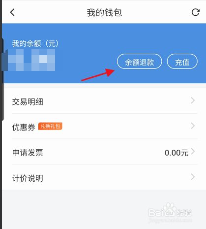 钱包余额显示剩10块钱的图片_tp钱包不显示余额_怎么打开微信钱包余额显示