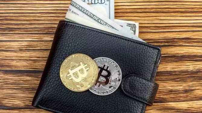 tp钱包怎么买minidoge_钱包买贵的还是买便宜的_钱包买什么颜色聚财女人