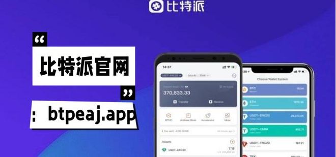 钱包地址格式有什么区别_钱包的地址标签填什么_tp钱包薄饼地址