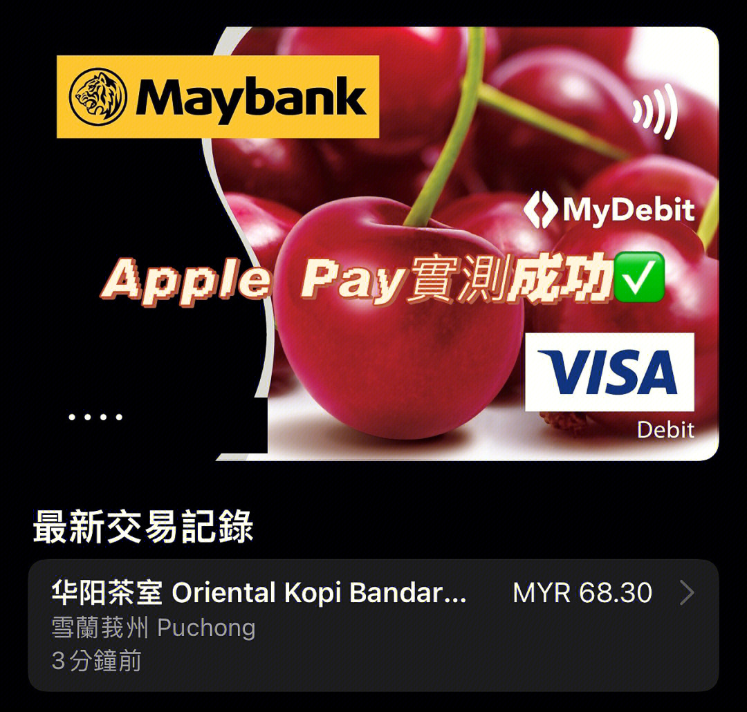 钱包app苹果版_apple钱包下载_苹果手机tp钱包官网下载app