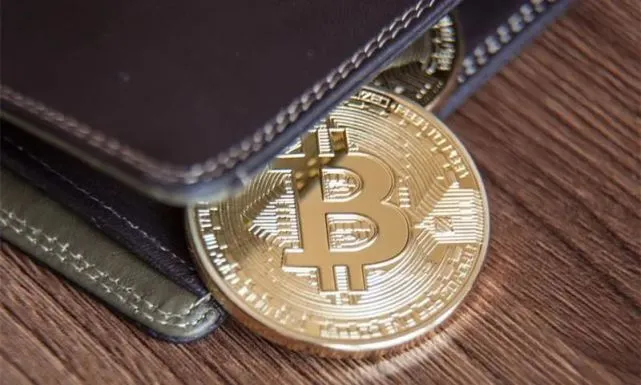 币钱包有什么用_blockchain钱包_tp钱包doge币支持公链