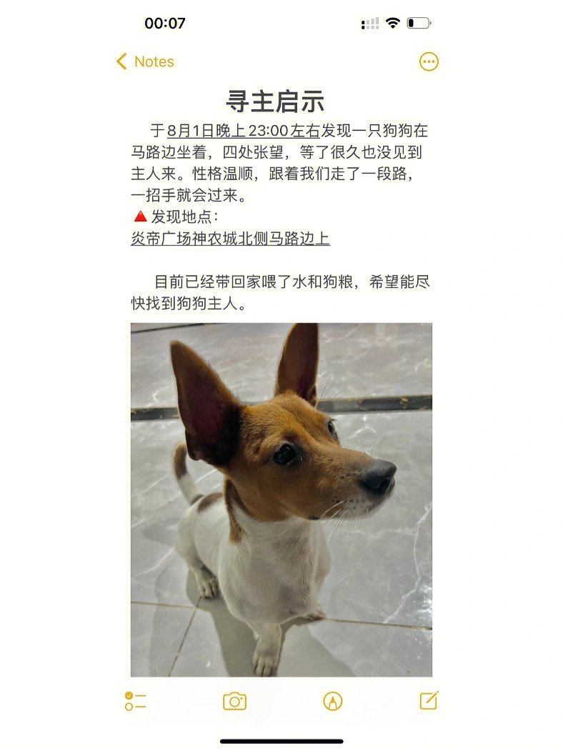 tp钱包找不到狗狗币的合约_heco狗狗币合约地址_狗狗币合约