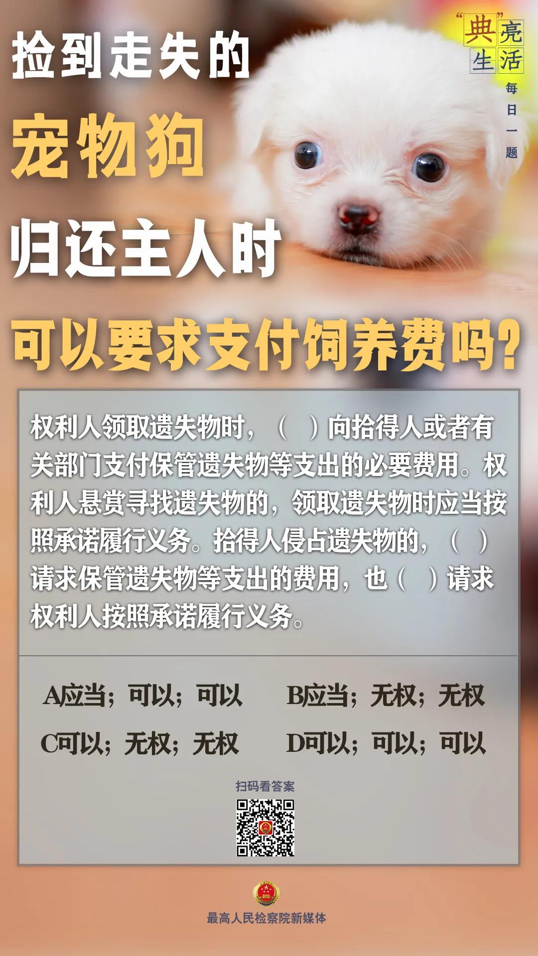tp钱包找不到狗狗币的合约_狗狗币合约_heco狗狗币合约地址