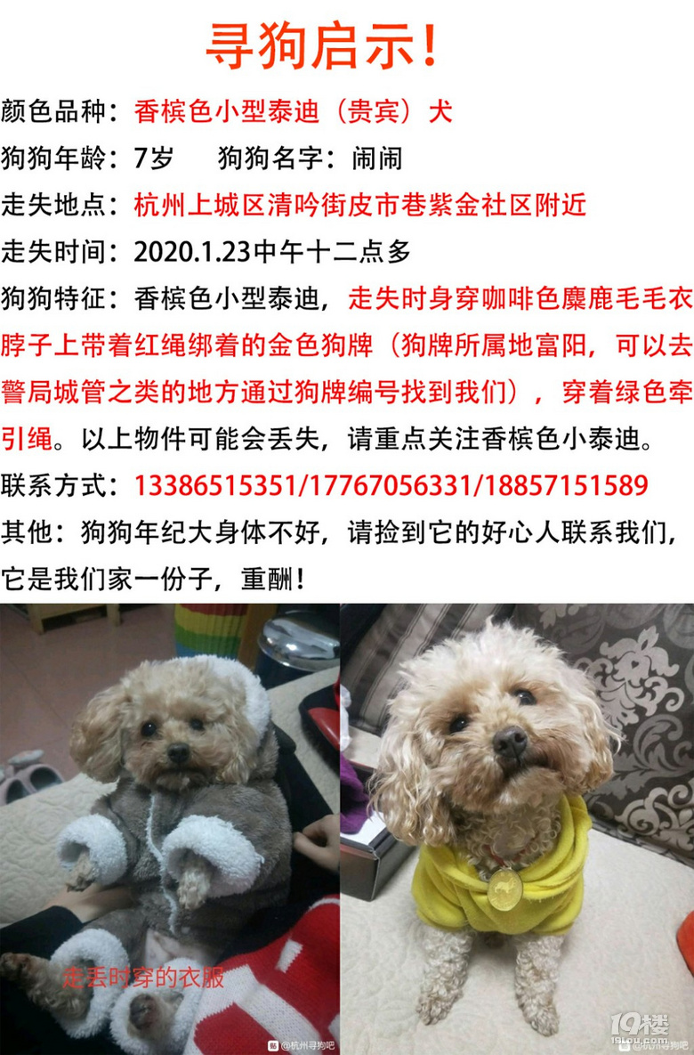 heco狗狗币合约地址_tp钱包找不到狗狗币的合约_狗狗币合约