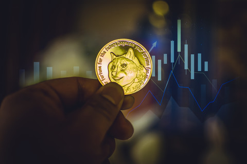 tp钱包 狗狗币_狗狗币钱包安装教程_狗狗币钱包dogecoin