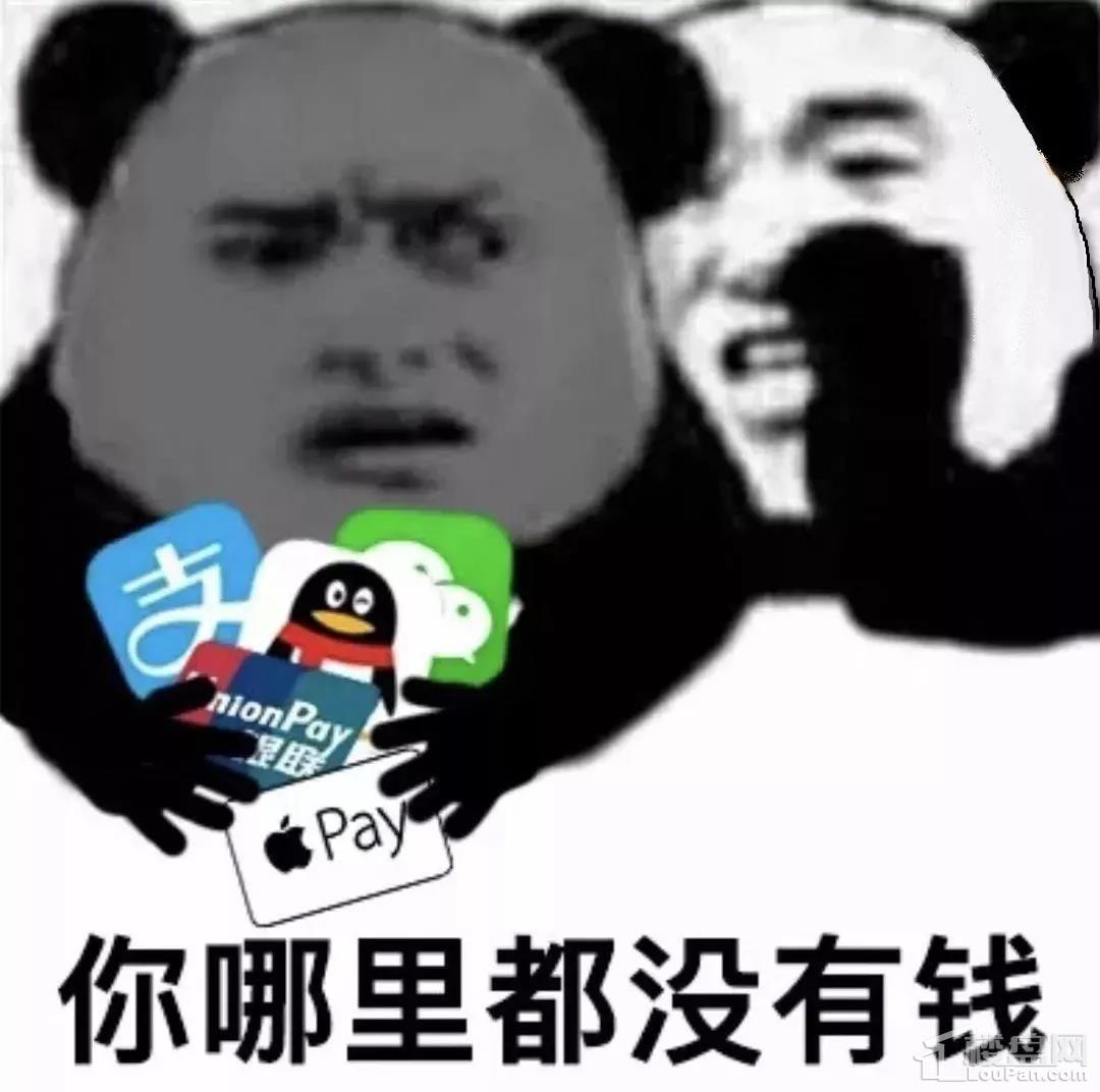 tp钱包创始人付盼被抓_盼盼钱包贷款_人盼成双月盼圆伴奏