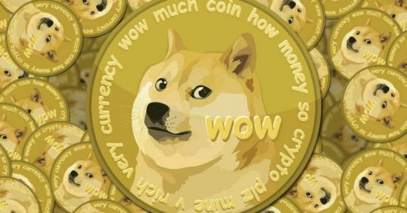 狗狗币怎么提到tp钱包_狗狗币钱包交易费_狗狗币钱包dogecoin