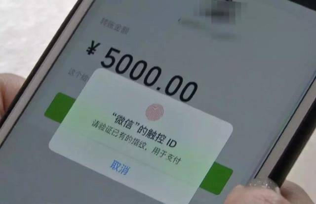 chia钱包转账费用_tp钱包怎么转账到欧意_钱包转出t+1