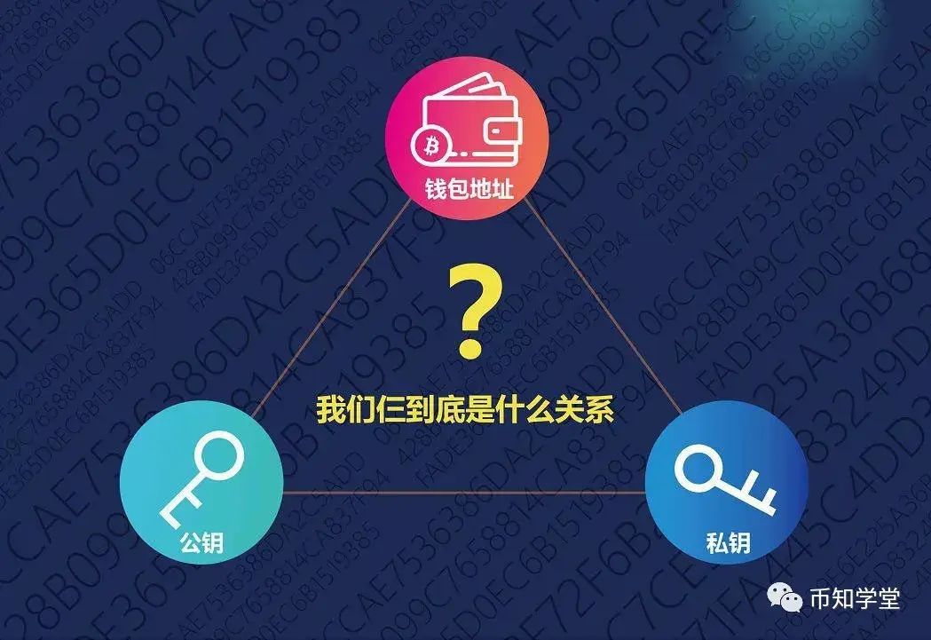 导入钱包后看不到资产_tp钱包导入钱包怎么没有币_重新导入钱包找不到资产了