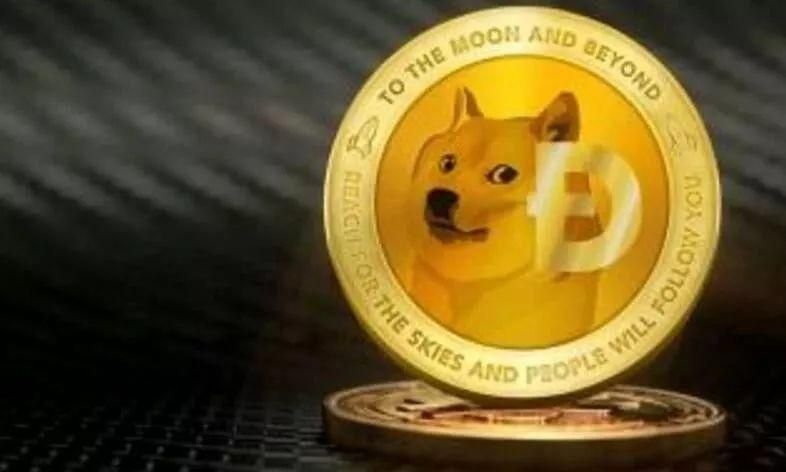 tp钱包使用教程怎么存狗狗币_狗狗币钱包dogecoin_狗狗币放tp钱包