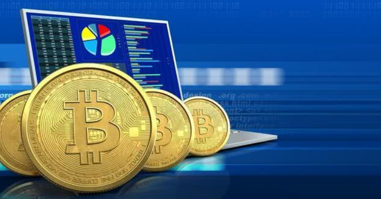 tp钱包币资料怎么看_钱包币是啥_币的钱包是什么意思