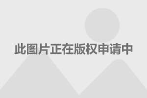 陌生金币_钱包里多出其他币_tp钱包里多了陌生的币