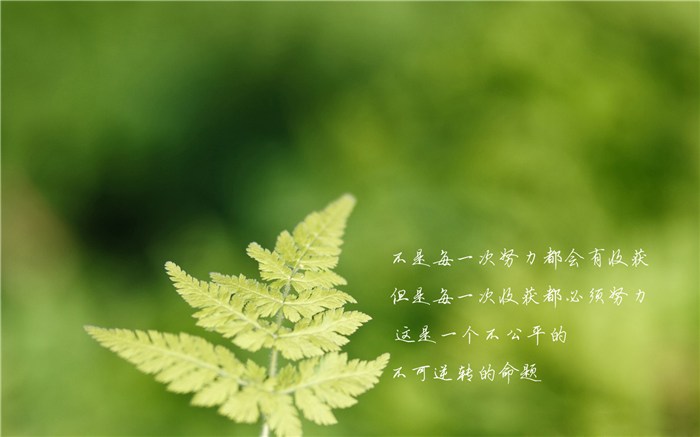 钱包怎么添加_钱包添加桌面_最新版本tp钱包怎么添加薄饼