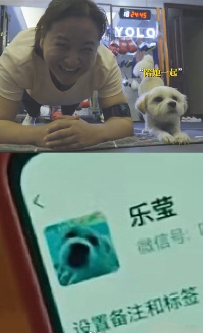 狗狗币提到tp钱包_狗狗币提现到tp钱包_钱包狗狗币