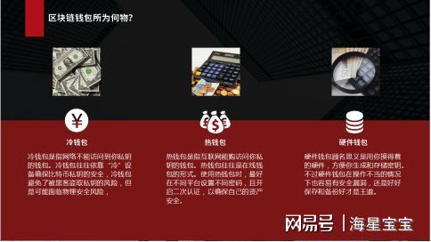 币钱包安全吗_tp钱包电脑版没有币安链_pc钱包