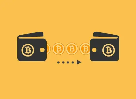 chia钱包提币_币安提TP钱包_钱包提币到交易所有记录吗