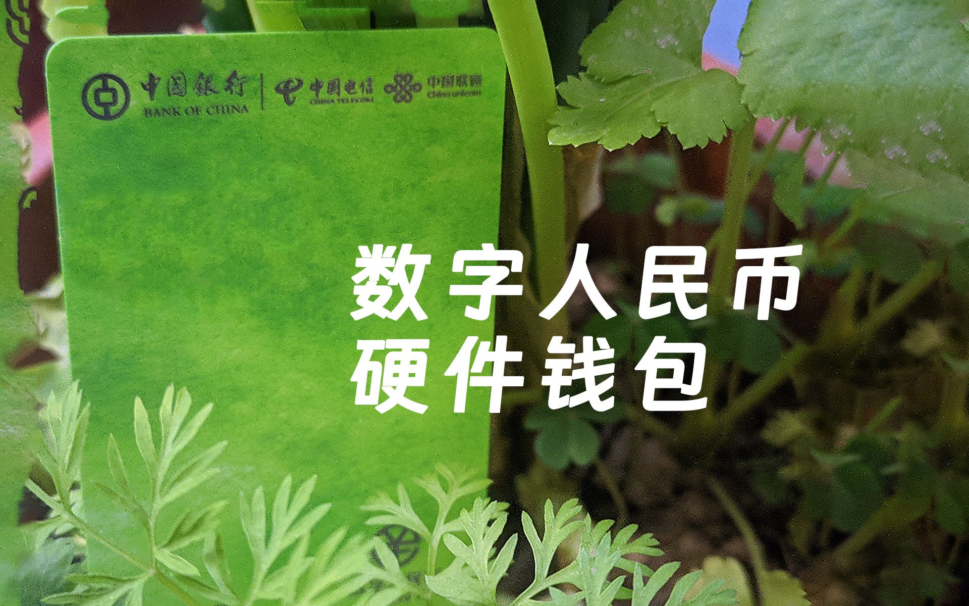 tp钱包薄饼卖不掉币怎么解决_钱包薄饼怎么设置中文_tp钱包里的薄饼网站是多少