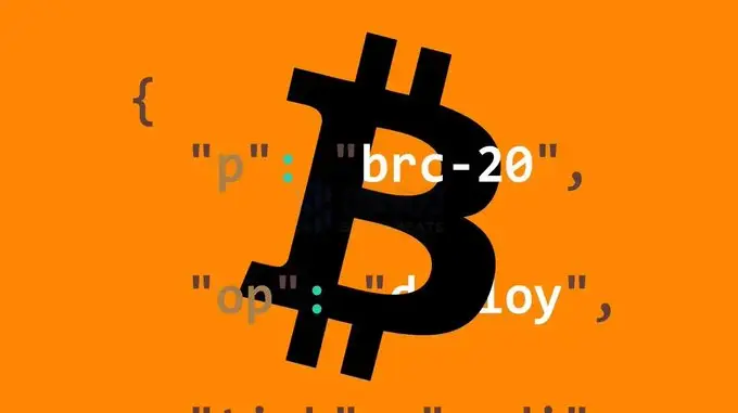 tp钱包usdt转币安_钱包转币到交易所要多少费用_usdt钱包转钱包