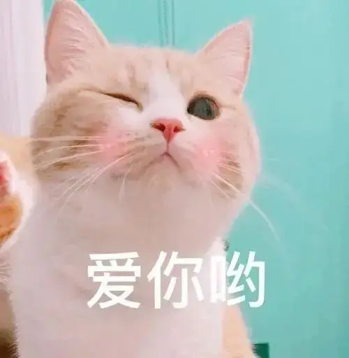 钱包金融客服_钱包客服电话是多少_tp钱包的客服在线时间