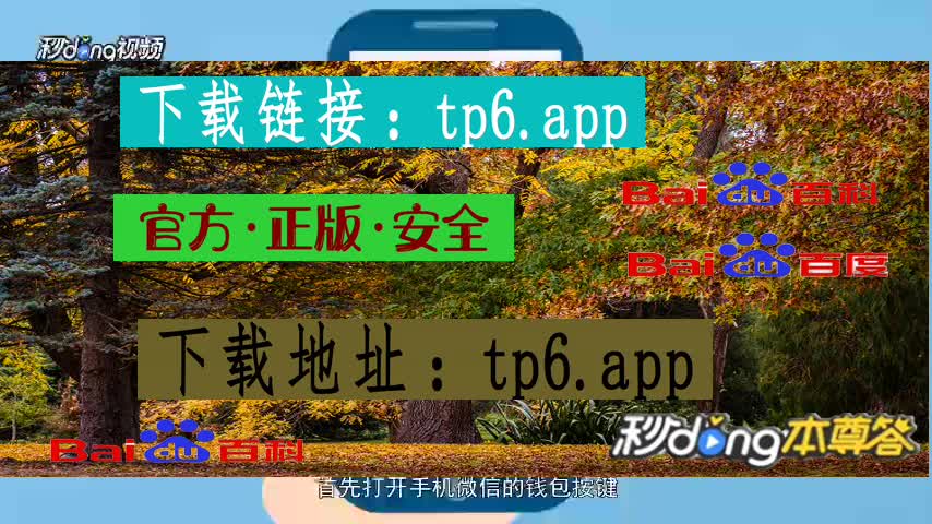钱包地址T开头是什么钱包_tp钱包地址在哪里_钱包地址T开头