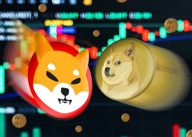 狗狗币钱包交易费_狗狗币钱包dogecoin_狗狗币提到tp钱包