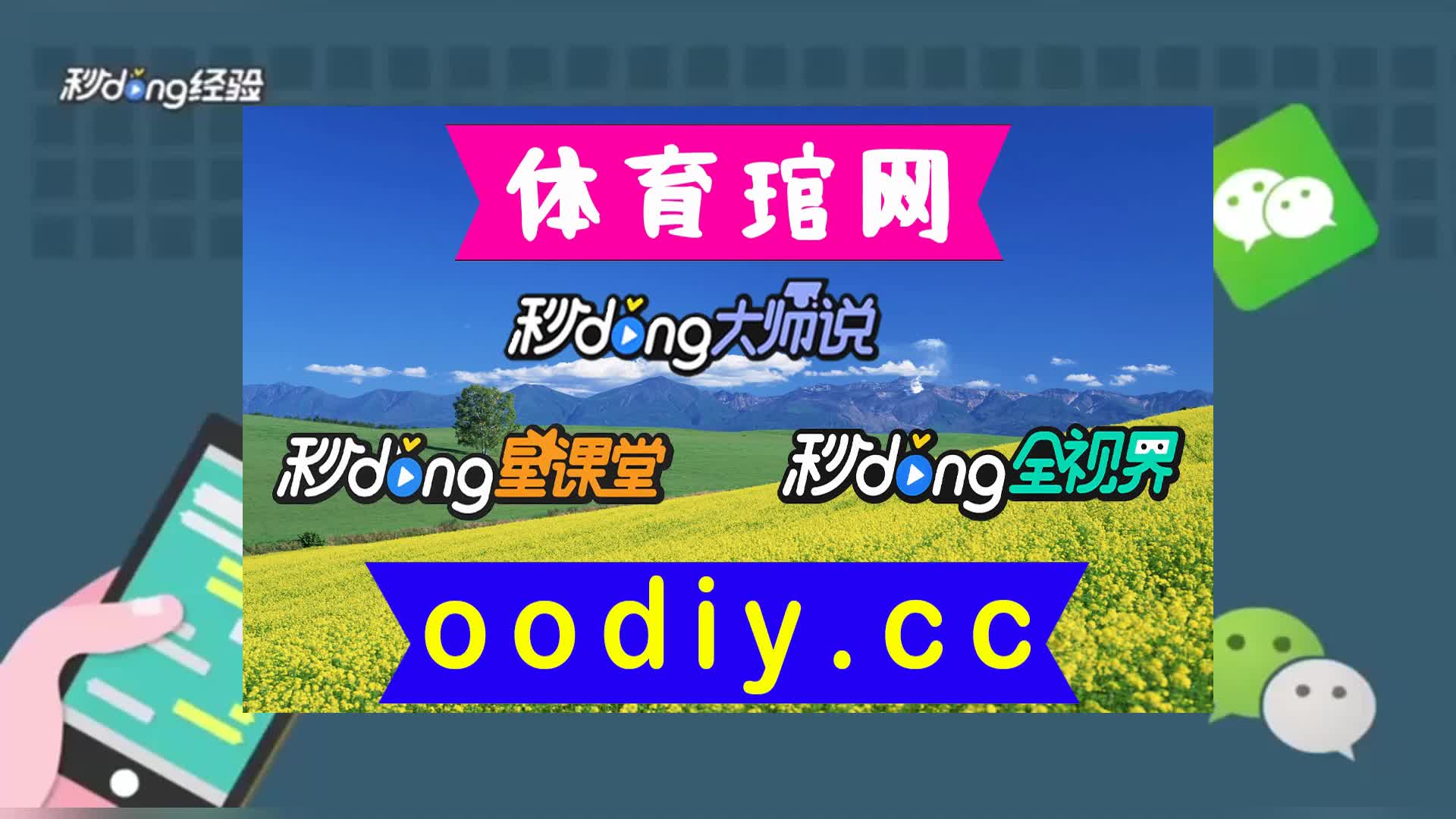 钱包app苹果版_tp钱包苹果版本地下载_苹果钱包app官网下载安装