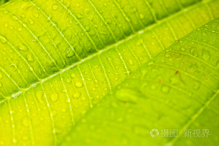 钱包买币是什么意思_钱包直接买币_如何用tp钱包买币