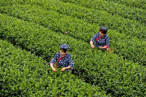 钱包转币一定要手续费吗_tp钱包如何转账人民币_转账人民币是什么意思