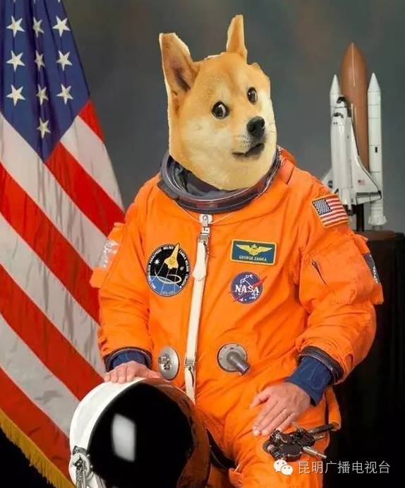钱包买二手的吉利吗_tp钱包买DogeZilla_钱包买什么颜色好招财女士