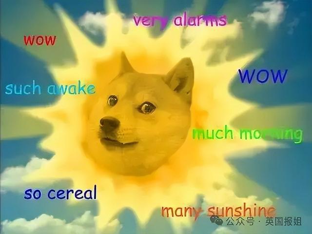 钱包买什么颜色好招财女士_钱包买二手的吉利吗_tp钱包买DogeZilla