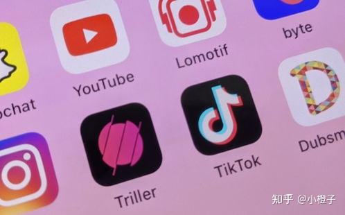 tp钱包币资料怎么看_钱包币是啥_币的钱包有什么用处