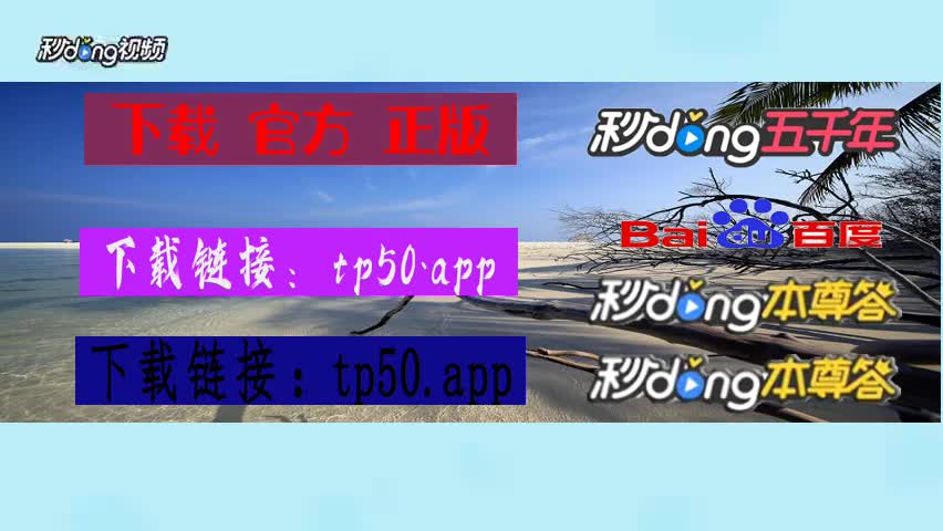 TP钱包中文版下载-TP 钱包中文版：数字资产管理的安全通道