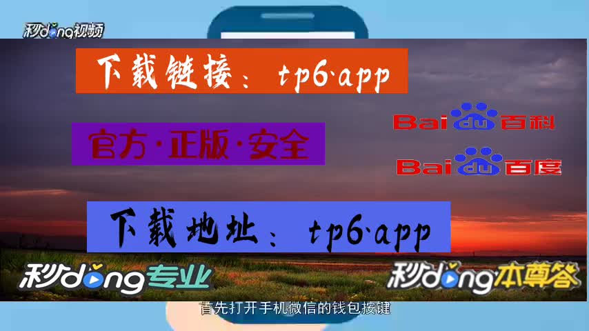 钱包类型是什么意思_钱包已空_tp钱包操作类型为空