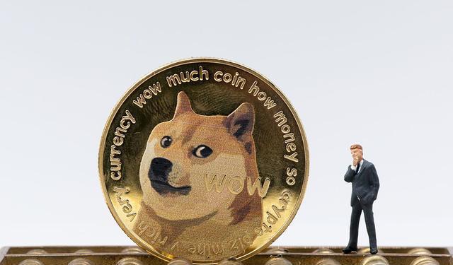 狗狗币钱包dogecoin_tp钱包使用教程怎么存狗狗币_狗狗币钱包安装教程