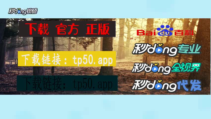 tp钱包网页版-TP 钱包网页版：便捷、安全的数字生活救星，