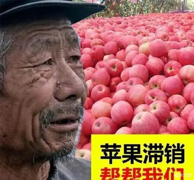 tp钱包怎么买lowb_钱包买什么颜色好招财女士_钱包买粉色的聚财吗