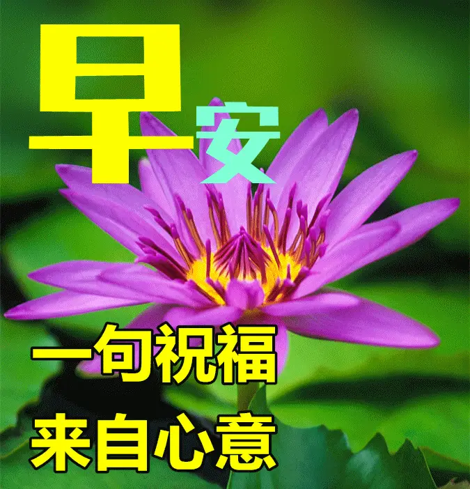 tp钱包客服几点上班_钱包客服是什么_钱包客户电话是多少