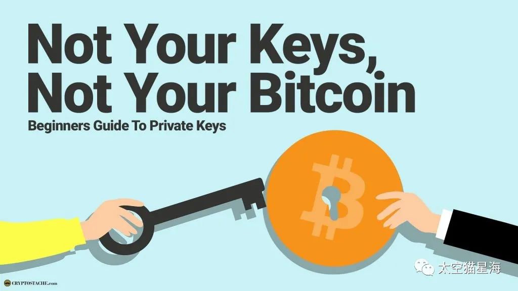 tp钱包的助记词_钱包助记词表_钱包助记词用英语怎么写