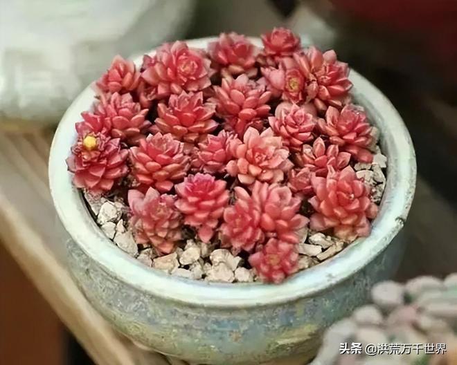 到账钱包没提现需要还款么_tp钱包没到账_如果钱没到账怎么办