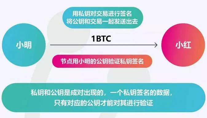 tp钱包怎么导出私钥_tp钱包怎么导出私钥_tp钱包怎么导出私钥