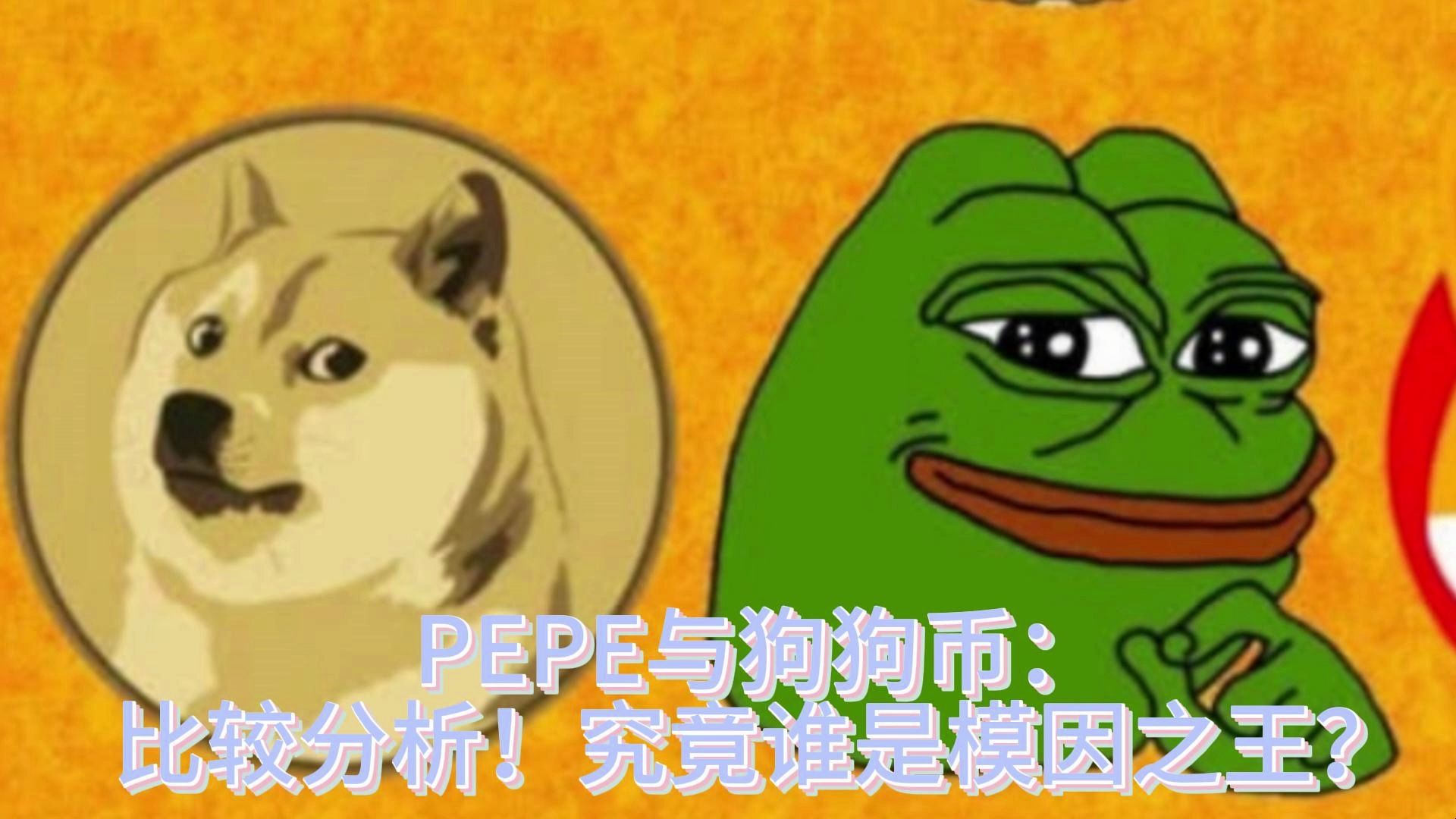 tp钱包能存狗狗币吗_狗狗币可以放在im钱包吗_狗狗币如何存入钱包